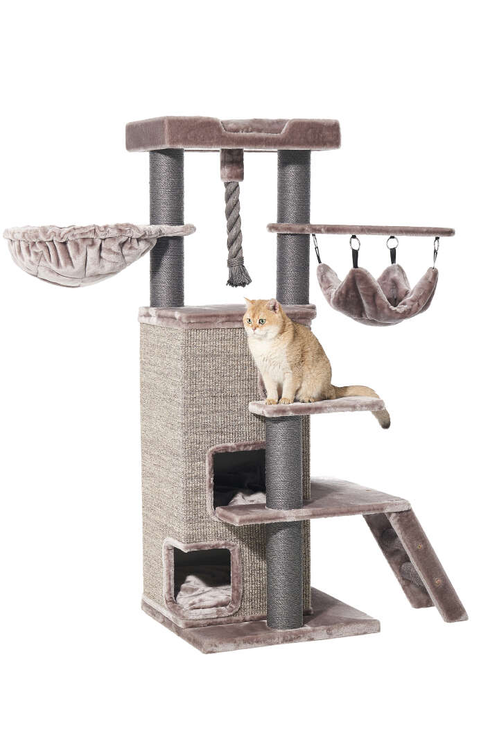 Nobby Kratzbaum Raya